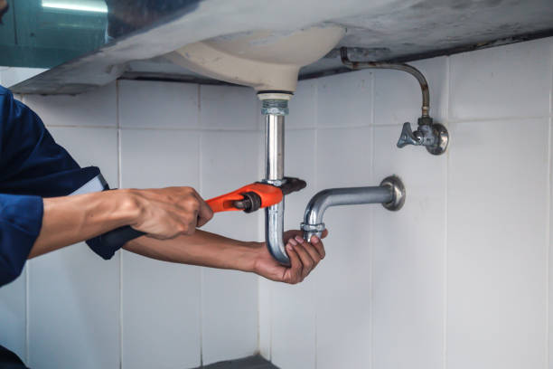 Best Leak Detection Services  in Deer Park, IL