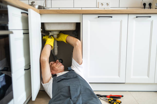  Deer Park, IL Plumbing Pros